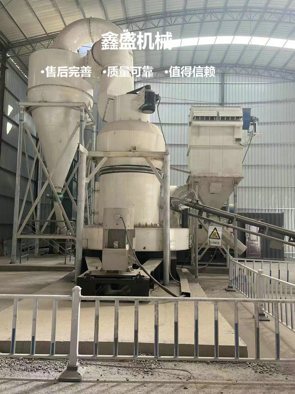 大型雷蒙機(jī)